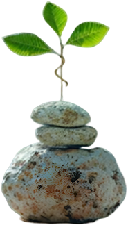 What Makes This Location Special